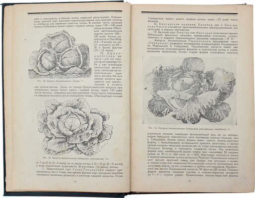 Рытов М.В. Частное огородничество / Под ред. и с доп. проф. С.М. Рытова и А.Н. Харузина. М.: Новая деревня, 1927.